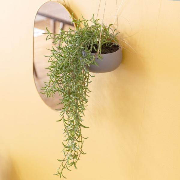 tFCNO[  nMO |bgt O[ ϗtA 55cm nMO|bg  ݂艺 CeA  98910