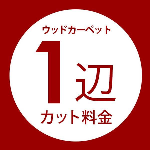 ■カットにはご注文完了後4〜6営業日ほどお時間を頂いております※商品ページ下部の「ご注意」もご覧ください。■カット料金は1枚のカーペットからご指定のサイズのカーペット1枚を切り出す料金です1枚のカーペットから複数枚のカーペットを切り出す場合...