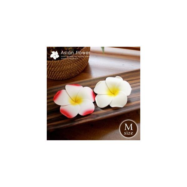 AWAG vA  CeAt[ Ԃт[J[ X^Cv AWAH[ pms-946