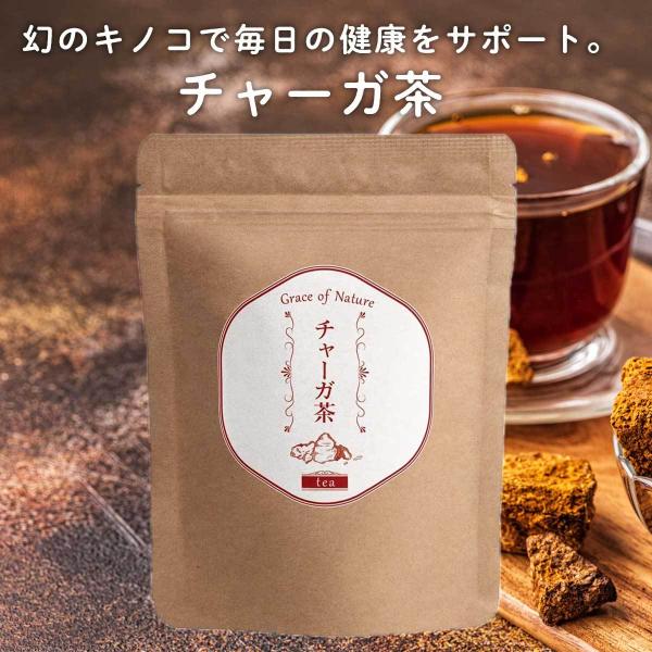 【チャーガとは？】 チャーガは、きのこの1種で、和名はカバノアナタケです。名前の由来は、「古い幹にできる黒いきのこ様のこぶ」を意味するロシア語の「チャガ」からきている様です。現在は発見困難な貴重なきのことして、「幻のきのこ」「森のダイヤモン...