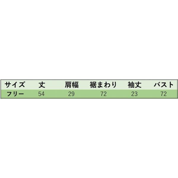 レディース ニット セーター カットソー 半袖 タイト スリム トップス カジュアル キュート 大人 可愛い フェミニン おしゃれ お出かけ オフィス デイリー 普段着 ベージュ ブラック ピンク フリーサイズ ワンサイズ 送料無料