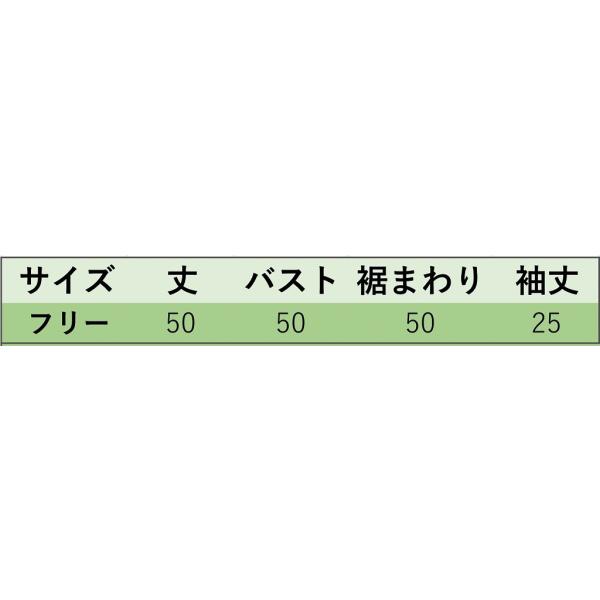 レディース カットソー ラウンドネック ニット セーター 半袖 タイト スリム トップス カジュアル キュート 大人 可愛い フェミニン おしゃれ お出かけ オフィス デイリー 普段着 ブラック ブラウン ベージュ ホワイト フリーサイズ 送料無料