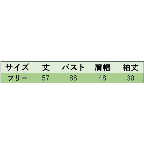 レディース カットソー Vネック ニット セーター 七分袖 トップス カジュアル キュート 大人 可愛い フェミニン おしゃれ お出かけ オフィス デイリー 普段着 グリーン ベージュ ホワイト フリーサイズ ワンサイズ 送料無料