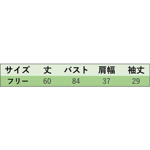 レディース ブラウス シャツ 無地 シンプル 半袖 春 夏 トップス カジュアル キュート 可愛い フェミニン きれいめ 上品 エレガント おしゃれ お出かけ オフィス デート デイリー ホワイト グリーン ブラウン フリーサイズ ワンサイズ 送料無料