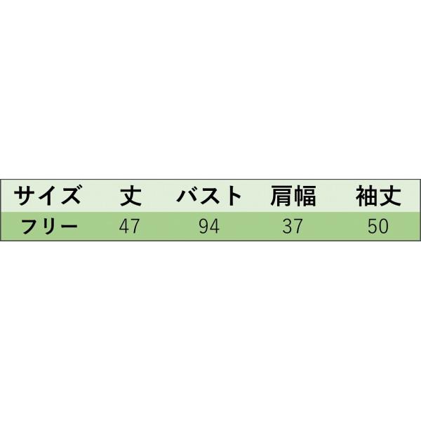 レディース Vネック ブラウス シャツ 無地 シンプル 長袖 春 夏 トップス カジュアル キュート 可愛い フェミニン きれいめ 上品 エレガント おしゃれ お出かけ オフィス デート デイリー ベージュ カーキ ブルー フリーサイズ 送料無料