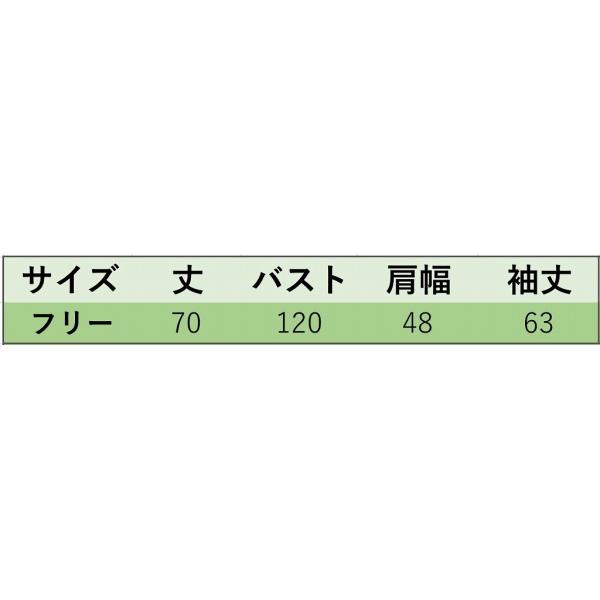 レディース Vネック ブラウス シャツ 長袖 無地 シンプル 春 夏 トップス カジュアル キュート 可愛い フェミニン きれいめ 上品 エレガント おしゃれ お出かけ オフィス デート デイリー ホワイト フリーサイズ ワンサイズ 送料無料