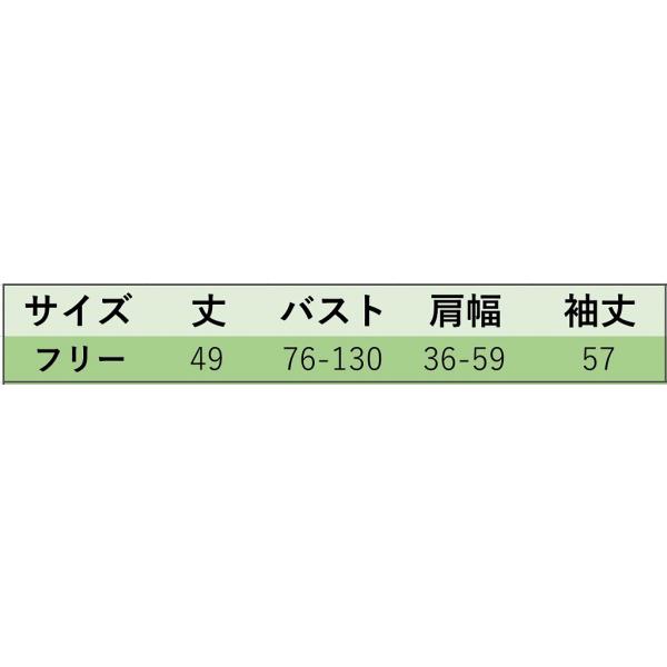 レディース ブラウス シャツ フレアスリーブ 長袖 無地 シンプル 春 夏 トップス カジュアル キュート 可愛い フェミニン きれいめ 上品 エレガント おしゃれ お出かけ オフィス デート デイリー ブラック フリーサイズ ワンサイズ 送料無料