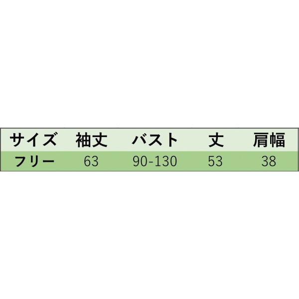 レディース　チェック柄　ブラウス　羽織　シャツ　長袖　キャンディスリーブ　フレアスリーブ　春　夏　トップス　カジュアル　キュート　可愛い　フェミニン　きれいめ　上品　エレガント　おしゃれ　お出かけ　オフィス　デート　デイリー　送料無料