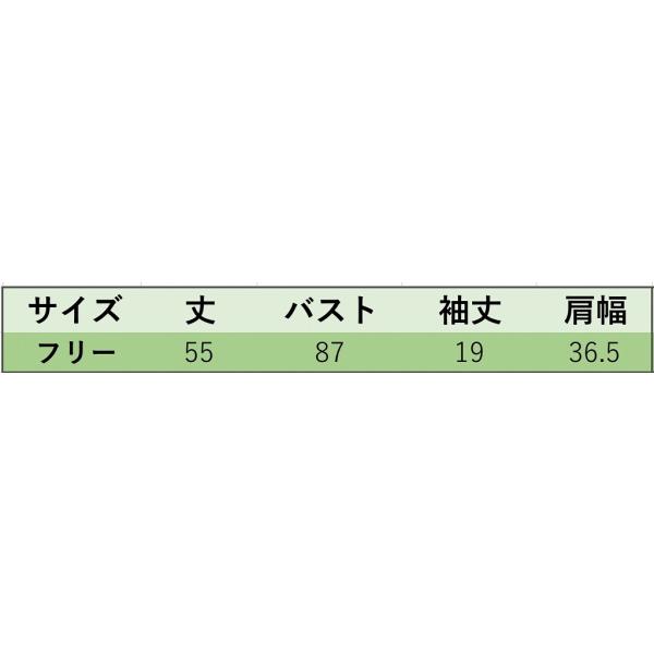 レディース　Vネック　カットソー　半袖　シンプル　スリム　タイト　トップス　カジュアル　キュート　大人　可愛い　フェミニン　おしゃれ　お出かけ　オフィス　デイリー　普段着　ホワイト　レッド　ブルー　ブラック　フリーサイズ　送料無料