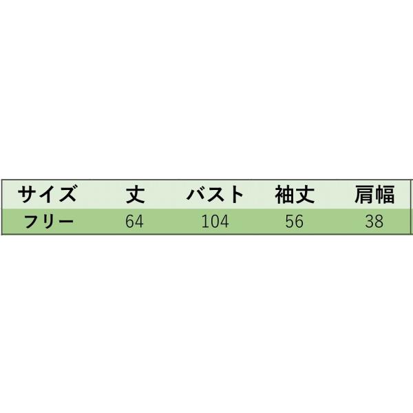 レディース　シフォン　ブラウス　フレアスリーブ　キャンディスリーブ　花柄　ボタニカル柄　フリル　首元リボン　トップス　カジュアル　キュート　可愛い　フェミニン　きれいめ　上品　エレガント　おしゃれ　お出かけ　オフィス　デート　グリーン　ブラウン　送料無料