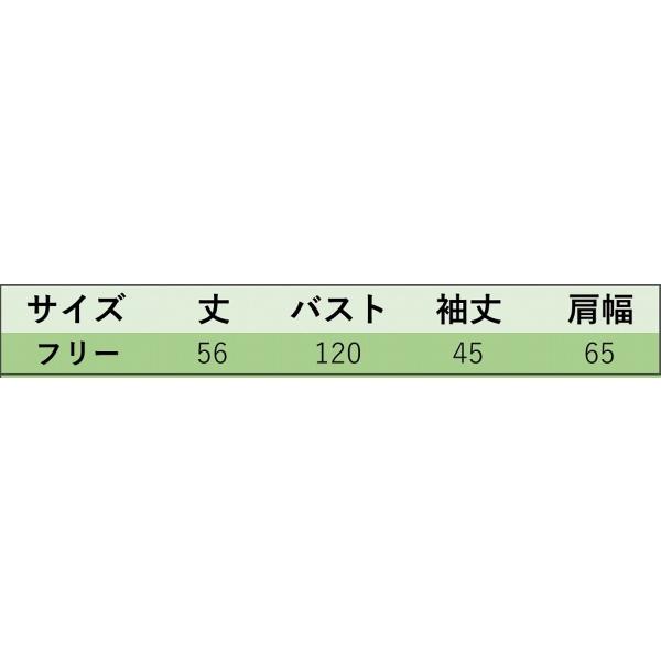 レディース　ニット　ラウンドネック　カットソー　厚手　長袖　シンプル　トップス　カジュアル　キュート　大人　可愛い　フェミニン　おしゃれ　お出かけ　オフィス　デイリー　普段着　ブラック　ブルー　ピンク　ホワイト　ブラウン　フリーサイズ　送料無料