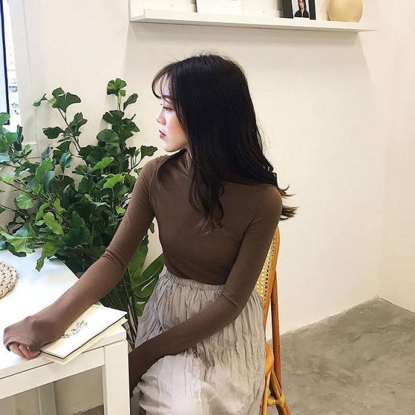 レディース　ハイネック　Tシャツ　長袖　無地　シンプル　ロングTシャツ　ロンT　トップス　カジュアル　キュート　大人　可愛い　フェミニン　おしゃれ　お出かけ　普段着　デイリー　ベージュ　ブラウン　ブルー　ブラック　フリーサイズ　送料無料