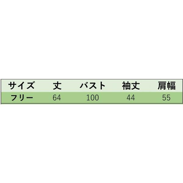 レディース　ブラウス　Vネック　チェック柄　長袖　トップス　秋　冬　カジュアル　キュート　可愛い　フェミニン　きれいめ　上品　エレガント　おしゃれ　お出かけ　オフィス　デート　デイリー　ネイビー　フリーサイズ　ワンサイズ　送料無料