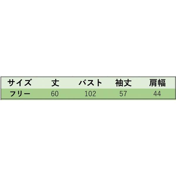 レディース　トップス　カットソー　無地　Vネック　長袖　カジュアル　大人可愛い　フェミニン　オフィス　お出かけ　デート　デイリー　ブラック　ホワイト　フリーサイズ　送料無料