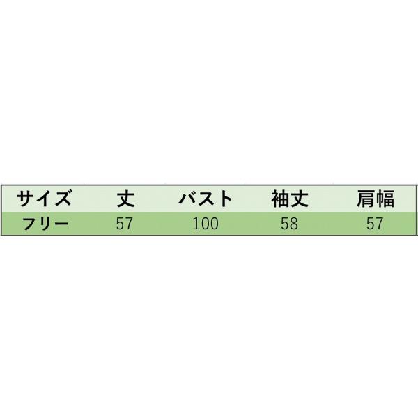 レディース　Tシャツ　フレアスリーブ　長袖　無地　シンプル　ボーダー　ロングTシャツ　ロンT　トップス　カジュアル　キュート　大人　可愛い　フェミニン　おしゃれ　お出かけ　普段着　デイリー　レッド　カーキ　ホワイト　フリーサイズ　送料無料