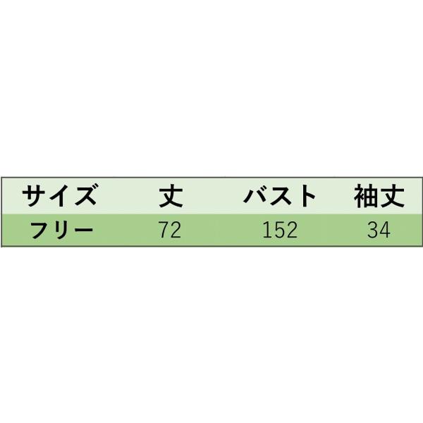 レディース　トップス　シャツ　長袖　ストライプ　ゆったり　カジュアル　大人可愛い　ルーズ　フェミニン　お出かけ　デート　デイリー　ブルー　ホワイト　フリー　送料無料