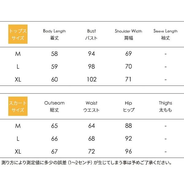 レディース　上下2点セット　フレアスカート　チェック柄　ブラウス　フリル　長袖　タイト　スリム　カジュアル　キュート　可愛い　フェミニン　きれいめ　上品　エレガント　おしゃれ　お出かけ　デイリー　お呼ばれ　ホワイト　ブルー　M　L　XL　サイズ　送料無料