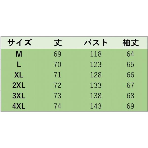 レディース Tシャツ 長袖 無地 シンプル ロングTシャツ ロンT ブラック グレー M L XL 2XL 3XL 4XL 大きいサイズ 送料無料