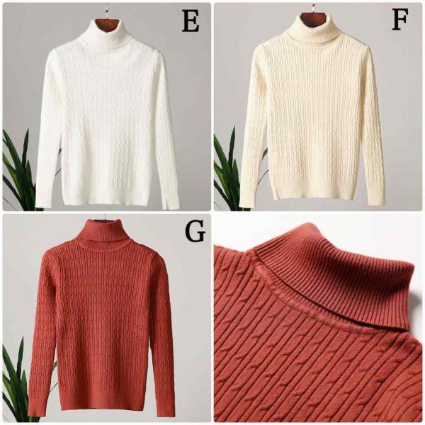 レディース ニット セーター タートルネック 長袖 トップス ブラウン ベージュ ブラック イエロー ホワイト レッド フリーサイズ 送料無料