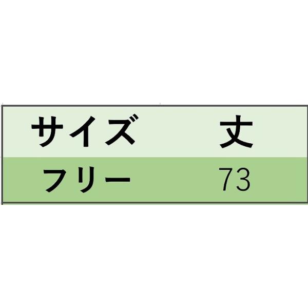 レディース ポンチョ 袖リブ付き ハイネック ニット フリンジ付き 羽織 長袖 フリーサイズ ワンサイズ 送料無料
