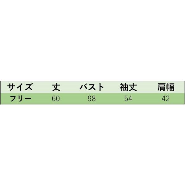 レディース ニット Vネック セーター ライン シンプル 長袖 トップス 秋 冬 ブラウン ブラック ホワイト フリーサイズ ワンサイズ 送料無料