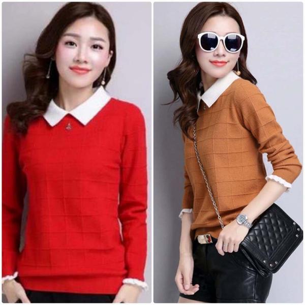 レディース ニット セーター スリム タイト 長袖 トップス 秋 冬ブラウン レッド ブラック ピンク グレー フリーサイズ ワンサイズ 送料無料