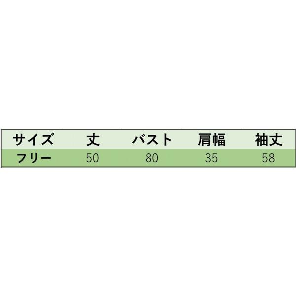 レディース ロングTシャツ デコルテ スリム タイト 長袖 無地 シンプル ロンT トップス グレー レッド カーキ フリーサイズ 送料無料