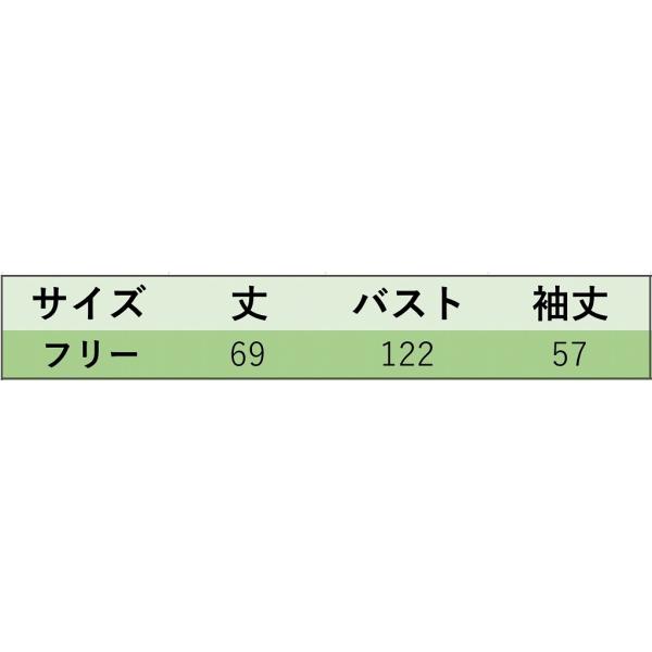 レディース ブラウス プルオーバー シャツ 長袖 オーバーサイズ ゆったり 透け素材 透け感 トップス ブラック フリーサイズ 送料無料