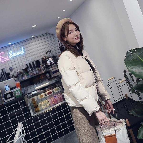 レディース ジャケット コート アウター 秋 冬 長袖 ベージュ ブラウン フリーサイズ ワンサイズ 送料無料