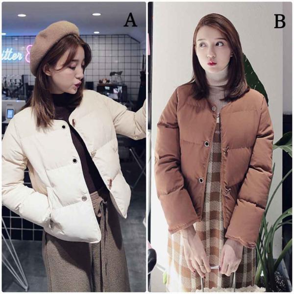 レディース ジャケット コート アウター 秋 冬 長袖 ベージュ ブラウン フリーサイズ ワンサイズ 送料無料