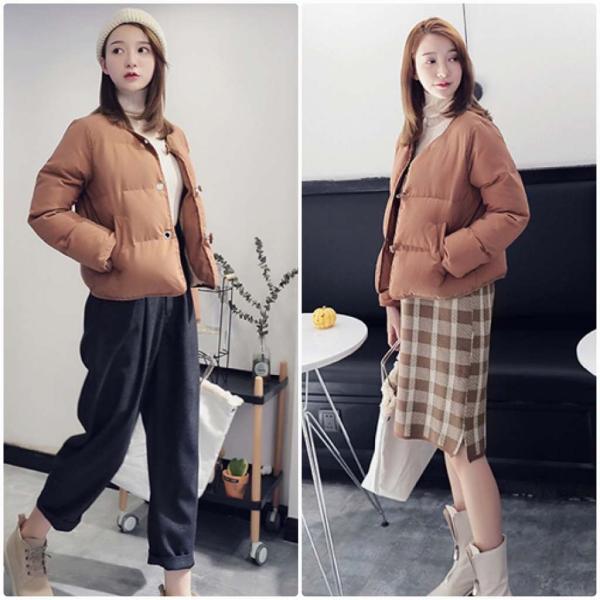 レディース ジャケット コート アウター 秋 冬 長袖 ベージュ ブラウン フリーサイズ ワンサイズ 送料無料