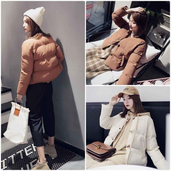 レディース ジャケット コート アウター 秋 冬 長袖 ベージュ ブラウン フリーサイズ ワンサイズ 送料無料