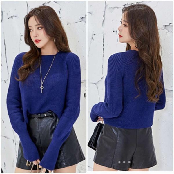 レディース ニット セーター ショート丈 長袖 シンプル スリム タイト ラウンドネック トップス ネイビー フリーサイズ ワンサイズ 送料無料