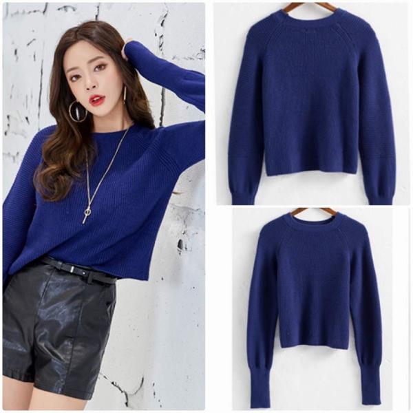 レディース ニット セーター ショート丈 長袖 シンプル スリム タイト ラウンドネック トップス ネイビー フリーサイズ ワンサイズ 送料無料