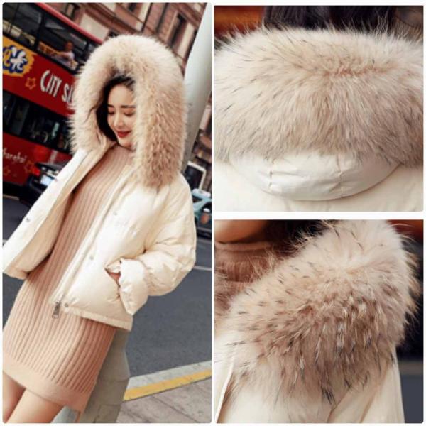 レディース ダウンジャケット フェイクファー エコファー フード付き アウター 秋 冬 ベージュ S M L XL 送料無料