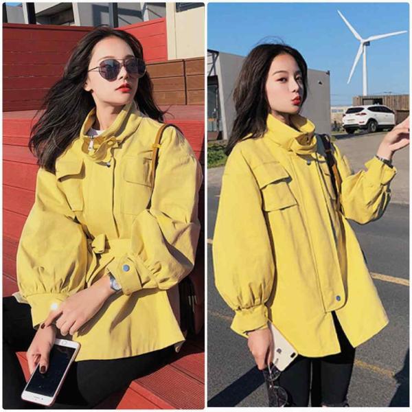 レディース　ジャケット　アウター　ブルゾン　腰紐　リボン　秋　冬　カジュアル　長袖　キュート　大人　可愛い　フェミニン　きれいめ　エレガント　おしゃれ　お出かけ　お呼ばれ　デイリー　オフィス　普段着　イエロー　ベージュ　S　M　L　サイズ　送料無料