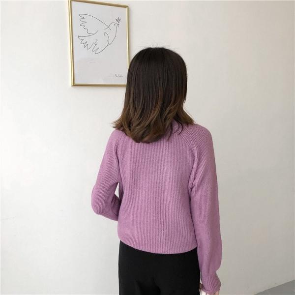 レディース　トップス　ニット　セーター　クルーネック　長袖　定番　人気　無地　カジュアル　大人可愛い　ラフスタイル　お出かけ　デート　デイリー　ブラック　カーキ　ベージュ　ホワイト　ピンク　パープル　フリーサイズ　送料無料