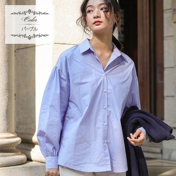 レディース　スキッパーシャツ　ブラウス　無地　シャツ　長袖　トップス　カジュアル　キュート　大人　可愛い　フェミニン　おしゃれ　お出かけ　エレガント　オフィス　デイリー　普段着　パープル　ピンク　ベージュ　フリーサイズ　ワンサイズ　送料無料