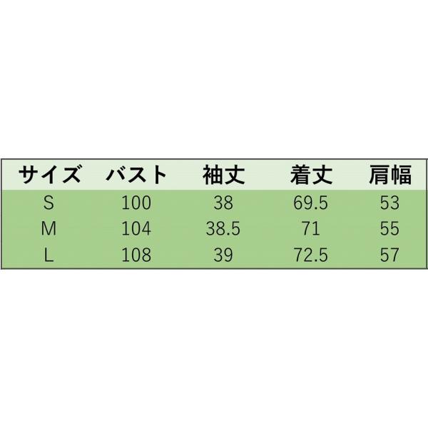 レディース　シフォン　ブラウス　Vネック　無地　シャツ　長袖　トップス　カジュアル　キュート　大人　可愛い　フェミニン　おしゃれ　お出かけ　デイリー　オフィス　普段着　ブラック　オリーブ　S　M　L　サイズ　送料無料