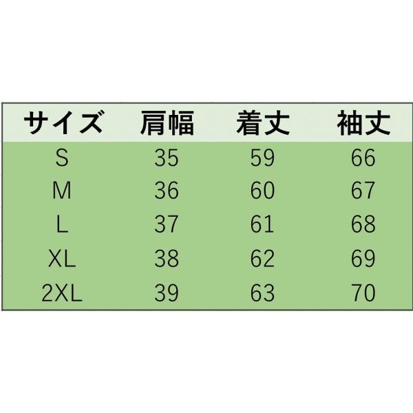 レディース　大きいサイズ　ボトルネック　フレアスリーブ　ブラウス　シャツ　長袖　トップス　カジュアル　キュート　大人　可愛い　フェミニン　おしゃれ　お出かけ　デート　オフィス　デイリー　普段着　ホワイト　S　M　L　XL　2XL　送料無料
