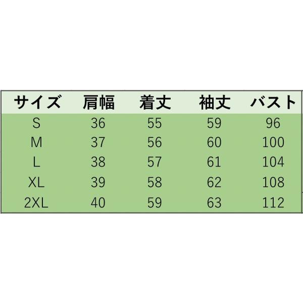 レディース　大きいサイズ　レース　フレアスリーブ　ブラウス　シャツ　長袖　トップス　カジュアル　キュート　大人　可愛い　フェミニン　おしゃれ　お出かけ　デート　オフィス　デイリー　普段着　ピンク　ブルー　S　M　L　XL　2XL　送料無料