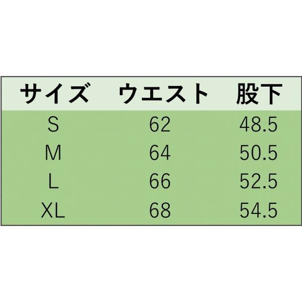 レディース　スカート　ハイウエスト　オーガンジー　透け素材　チェック柄　ボトムス　カジュアル　キュート　大人　可愛い　フェミニン　きれいめ　おしゃれ　お出かけ　デイリー　オフィス　普段着　ブラック　ホワイト　S　M　L　XL　サイズ　送料無料