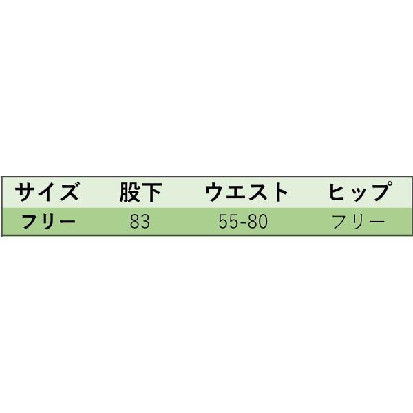 レディース　シフォン　スカート　ハイウエスト　ボタニカル柄　ロング丈　春　夏　ボトムス　カジュアル　キュート　大人　可愛い　フェミニン　きれいめ　おしゃれ　お出かけ　デイリー　オフィス　普段着　グリーン　フリーサイズ　ワンサイズ　送料無料