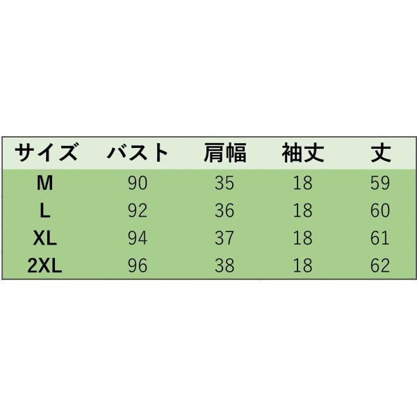 レディース　大きいサイズ　スカラップ　レース　ブラウス　シャツ　半袖　春　夏　トップス　カジュアル　キュート　可愛い　フェミニン　きれいめ　上品　エレガント　おしゃれ　お出かけ　デイリー　普段着　ホワイト　M　L　XL　2XL　サイズ　送料無料