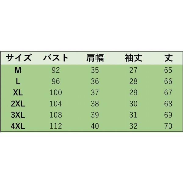 レディース 大きいサイズ Vネック ブラウス シフォン 半袖 シャツ 春 夏 トップス カジュアル キュート 可愛い フェミニン きれいめ エレガント おしゃれ お出かけ レッド ブラック ピンク パープル ベージュ グレー ホワイト ブルー 送料無料