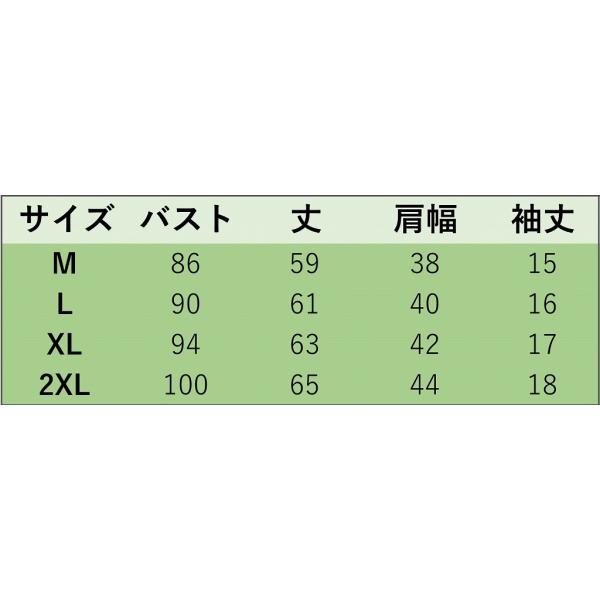 レディース 半袖Tシャツ ラウンドネック シンプル 無地 カットソー ショートスリーブ 夏 春 トップス カジュアル キュート 大人 可愛い フェミニン おしゃれ お出かけ 普段着 デイリー ホワイト ブラック 大きいサイズ M L XL 2XL 送料無料