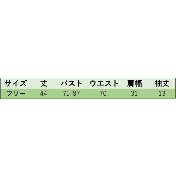 レディース 半袖Tシャツ Vネック シンプル 無地 カットソー ショートスリーブ 夏 春 トップス カジュアル キュート 大人 可愛い フェミニン おしゃれ お出かけ 普段着 デイリー ホワイト ベージュ ブルー フリーサイズ ワンサイズ 送料無料