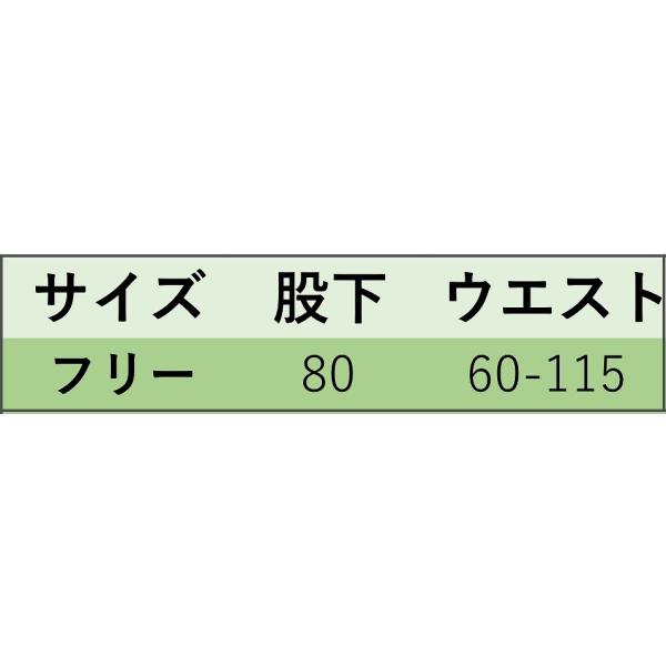 レディース スカート ハイウエスト ミモレ丈 透け感 透け素材 無地 シンプル 春 夏 ボトムス カジュアル キュート 大人 可愛い フェミニン きれいめ おしゃれ お出かけ デイリー オフィス 普段着 ブラック フリーサイズ 送料無料