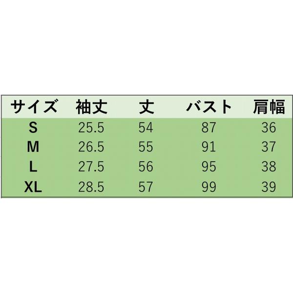 レディース シフォン ブラウス 半袖 シャツ 春 夏 トップス カジュアル キュート 可愛い フェミニン きれいめ 上品 エレガント おしゃれ お出かけ オフィス デート デイリー ホワイト ブラック S M L XL サイズ 送料無料