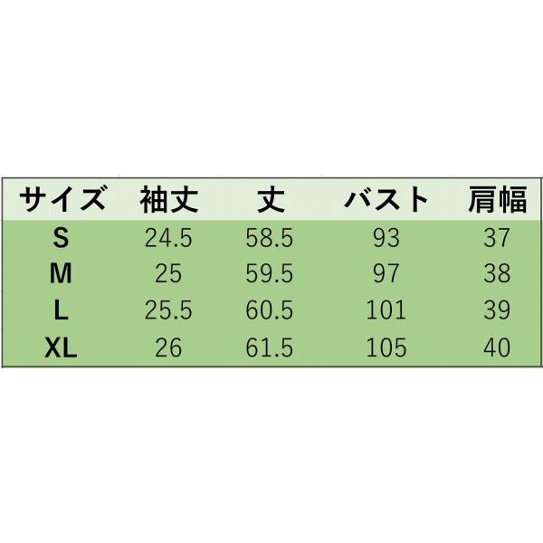 レディース ブラウス シフォン ストライプ シンプル 半袖 シャツ 春 夏 トップス カジュアル キュート 可愛い フェミニン きれいめ 上品 エレガント おしゃれ お出かけ オフィス デート デイリー ホワイト×ブラック S M L XL サイズ 送料無料